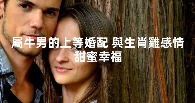 屬牛男的上等婚配 與生肖雞感情甜蜜幸福